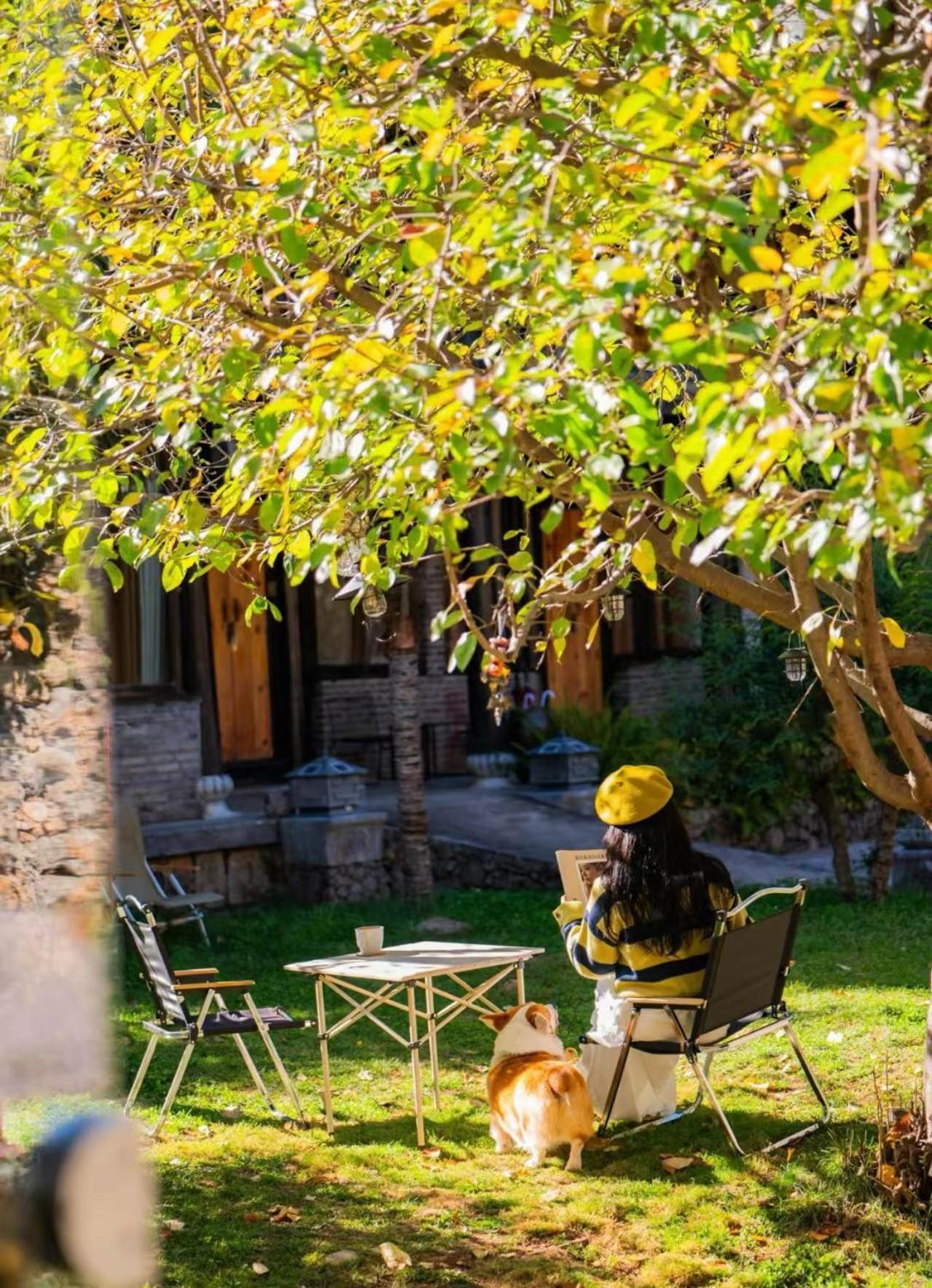 Adonis Inn Lijiang Lijiang (Yunnan) Exterior foto